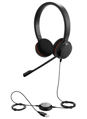 Гарнітура Jabra EVOLVE 20 MS Stereo USB-C 4999-823-189